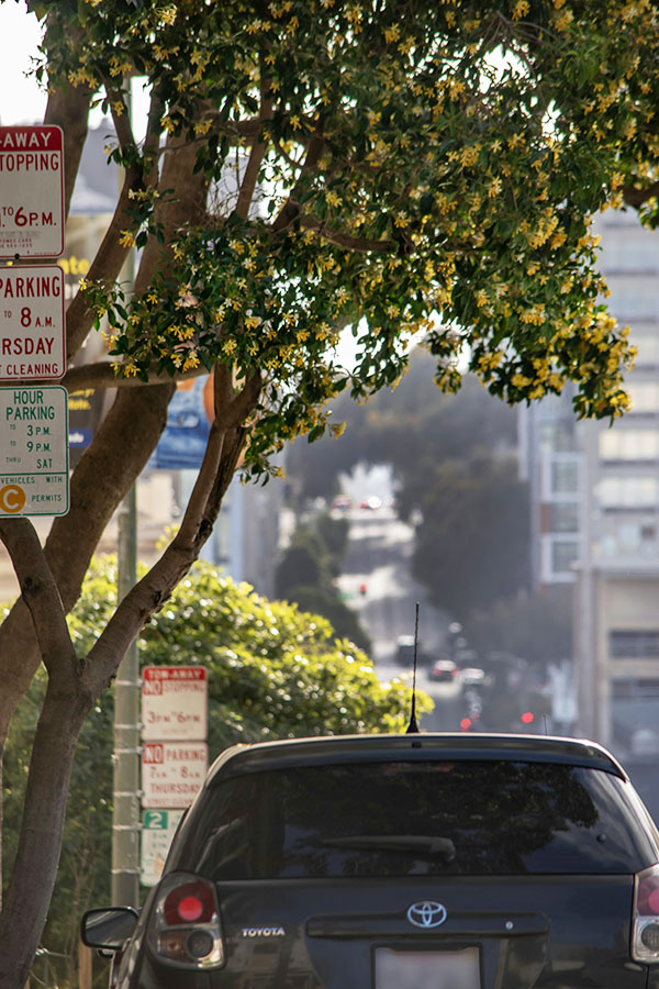 Thanh pho san francisco