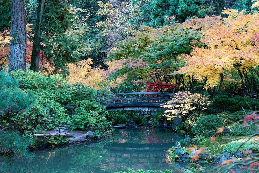 top 9 địa điểm tham quan tại bờ tây nước mỹ