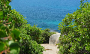 vẻ đẹp thiên nhiên huyền bí của hồ tahoe