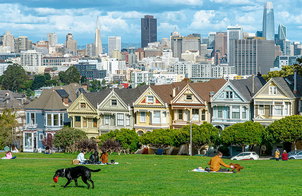 Painted ladies