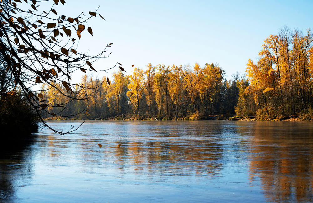 Thành phố Oakland