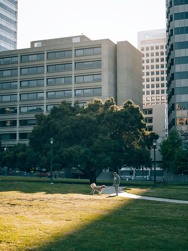 Thành phố Oakland