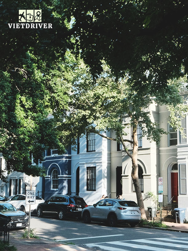 bo-tay-nuoc-my-gom-bang-nao