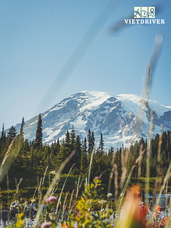 bo-tay-nuoc-my-gom-bang-nao