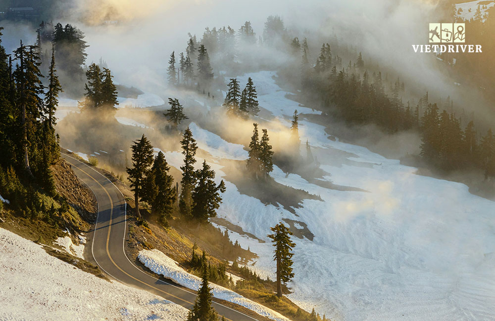 bo-tay-nuoc-my-gom-bang-nao