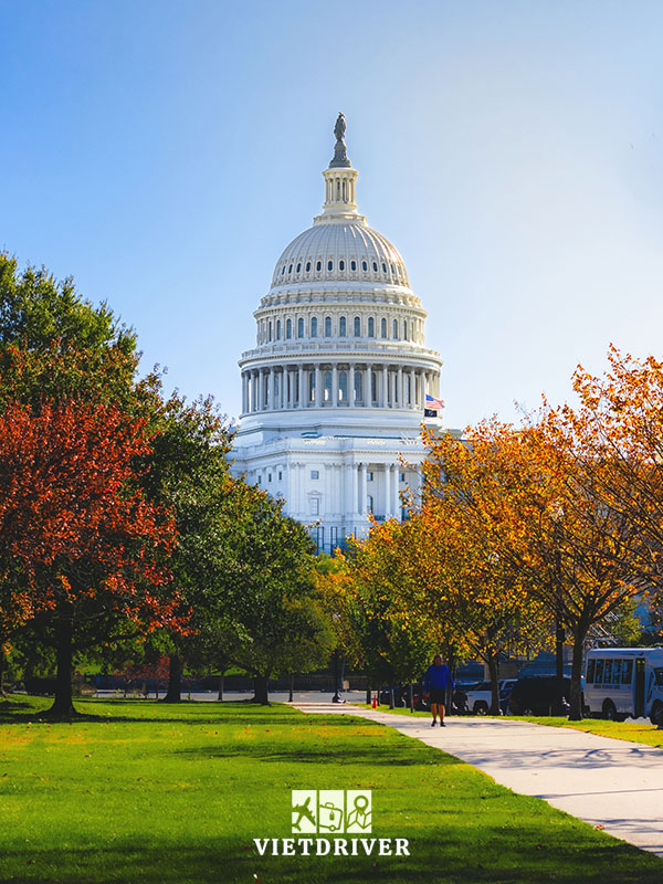 bo-tay-nuoc-my-gom-bang-nao