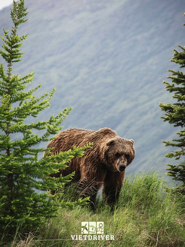 bờ tây nước mỹ gồm những bang nào