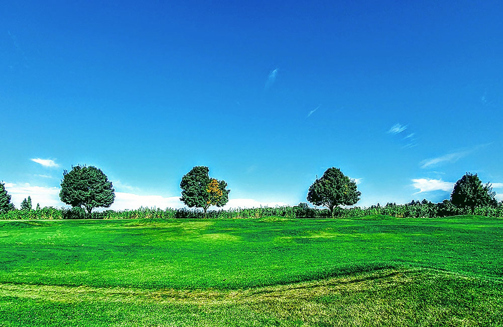 bờ tây nước mỹ gồm những thành phố nào