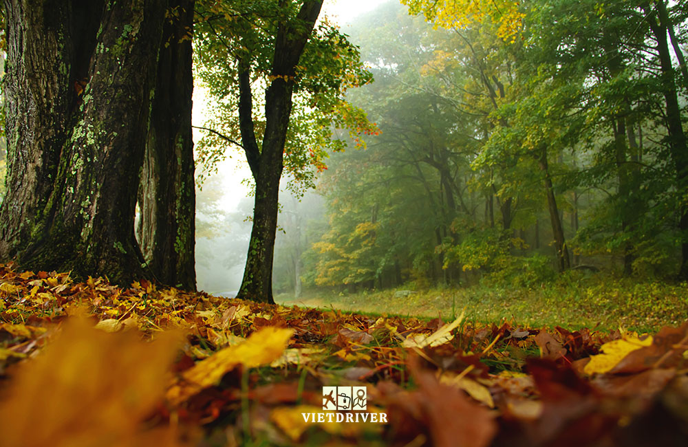 cảnh đẹp mùa thu nước mỹ