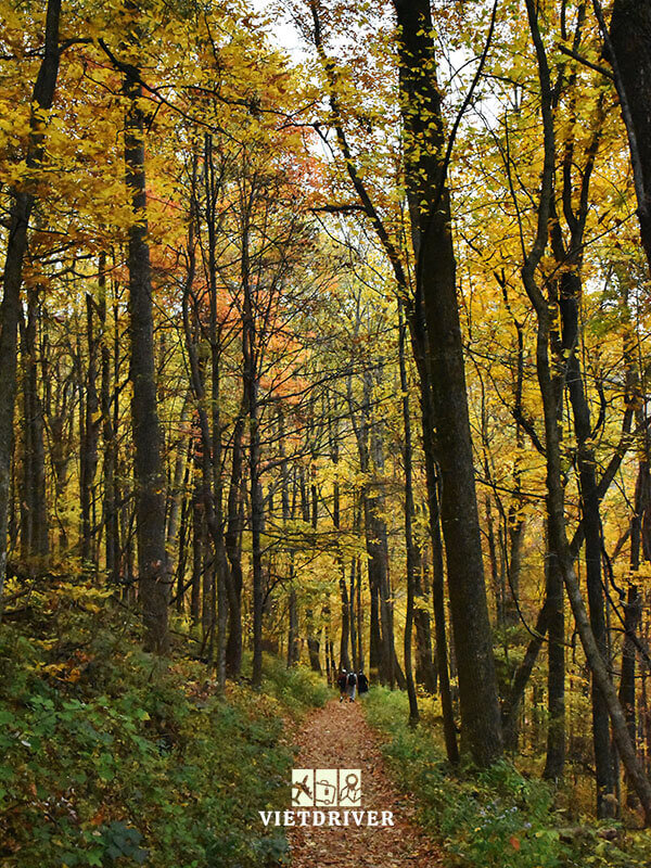 cảnh đẹp mùa thu nước mỹ