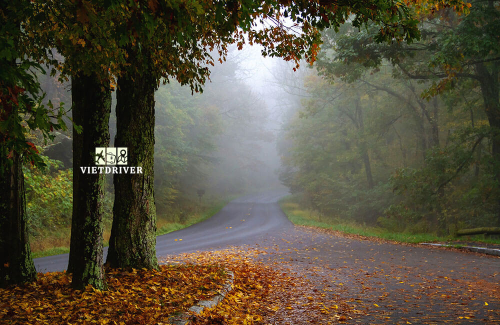 cảnh đẹp mùa thu nước mỹ