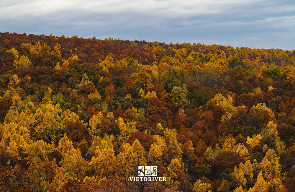 cảnh đẹp mùa thu nước mỹ