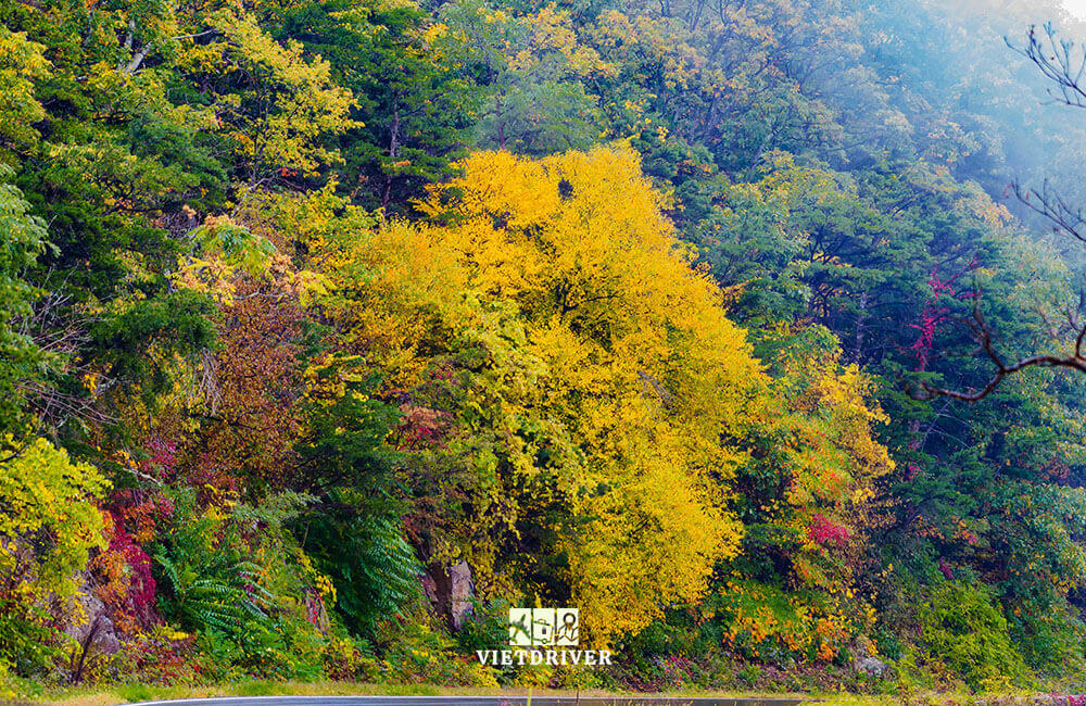 cảnh đẹp mùa thu nước mỹ