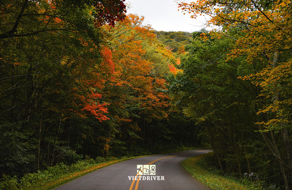 cảnh đẹp mùa thu ở mỹ