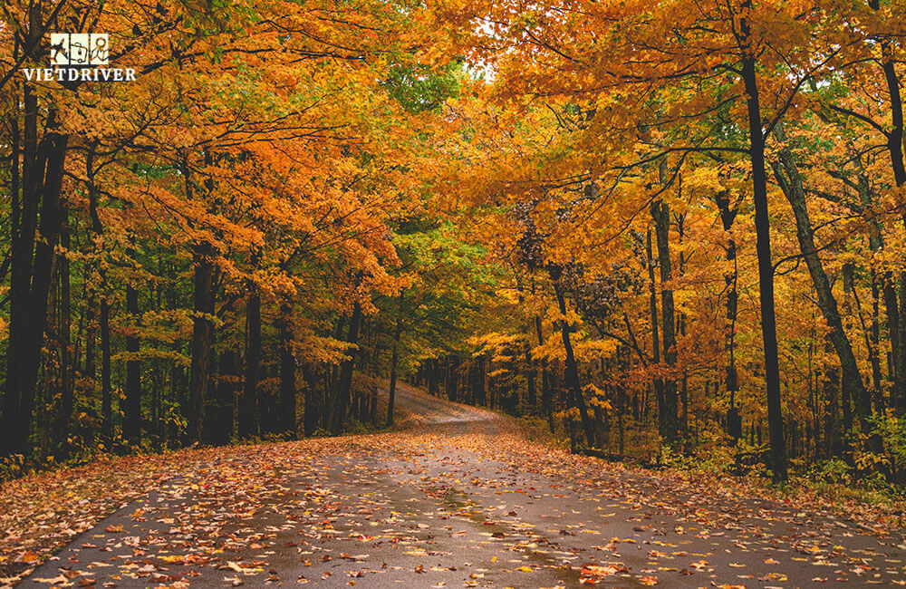 cảnh đẹp mùa thu ở mỹ