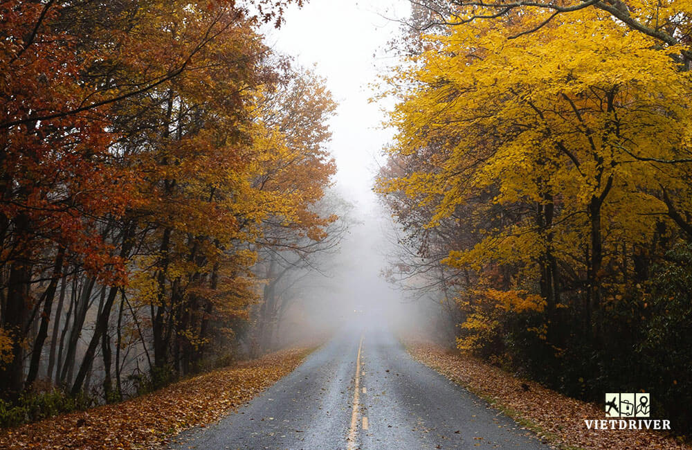 cảnh đẹp mùa thu ở mỹ