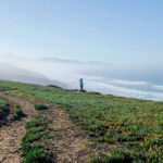 cảnh đẹp san francisco