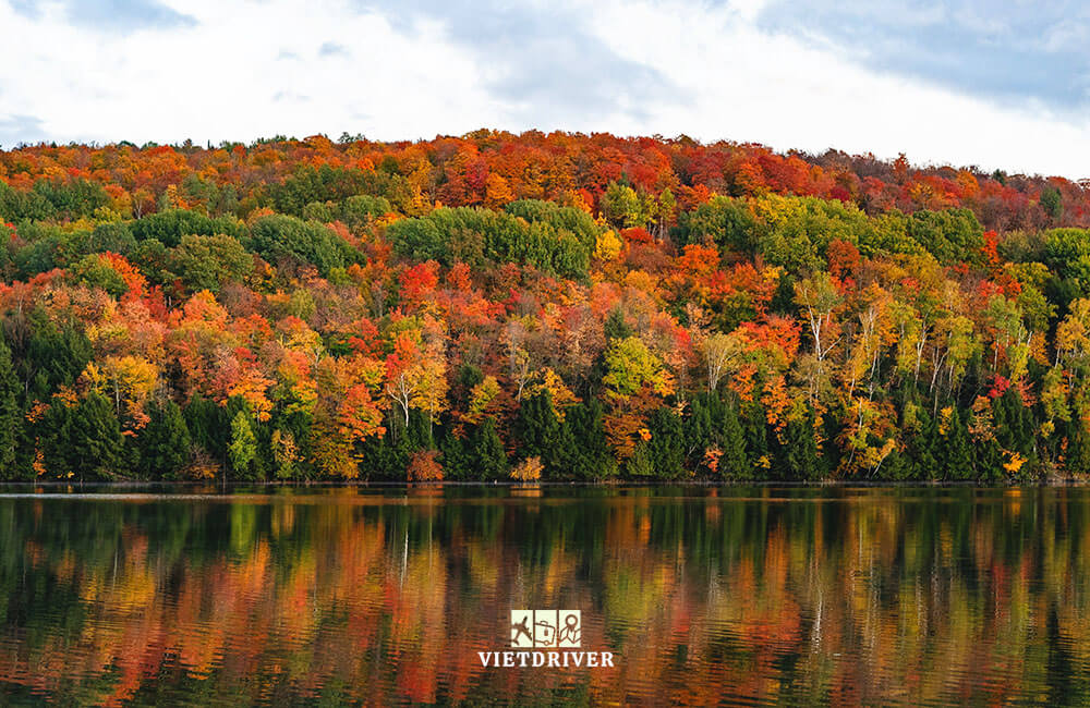 cảnh mùa thu nước mỹ