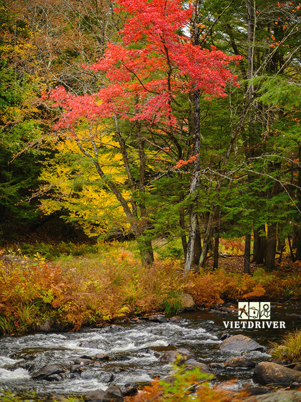 cảnh mùa thu nước mỹ