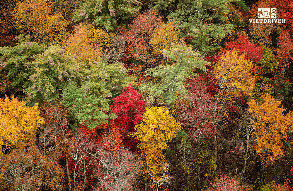 cảnh mùa thu nước mỹ