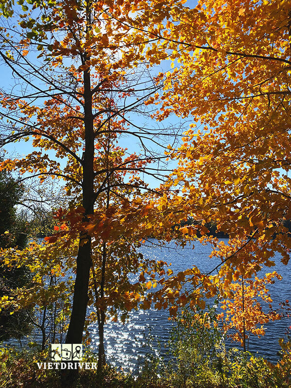cảnh mùa thu ở mỹ