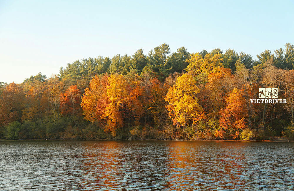 cảnh mùa thu ở mỹ