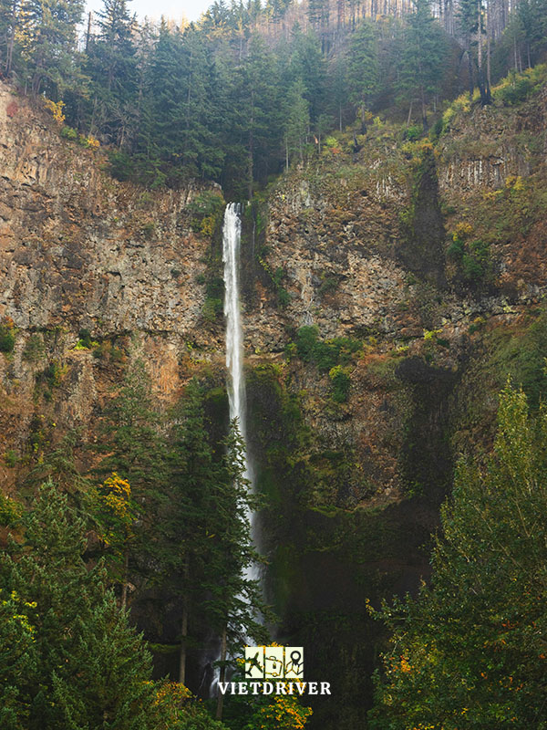 cảnh mùa thu ở mỹ