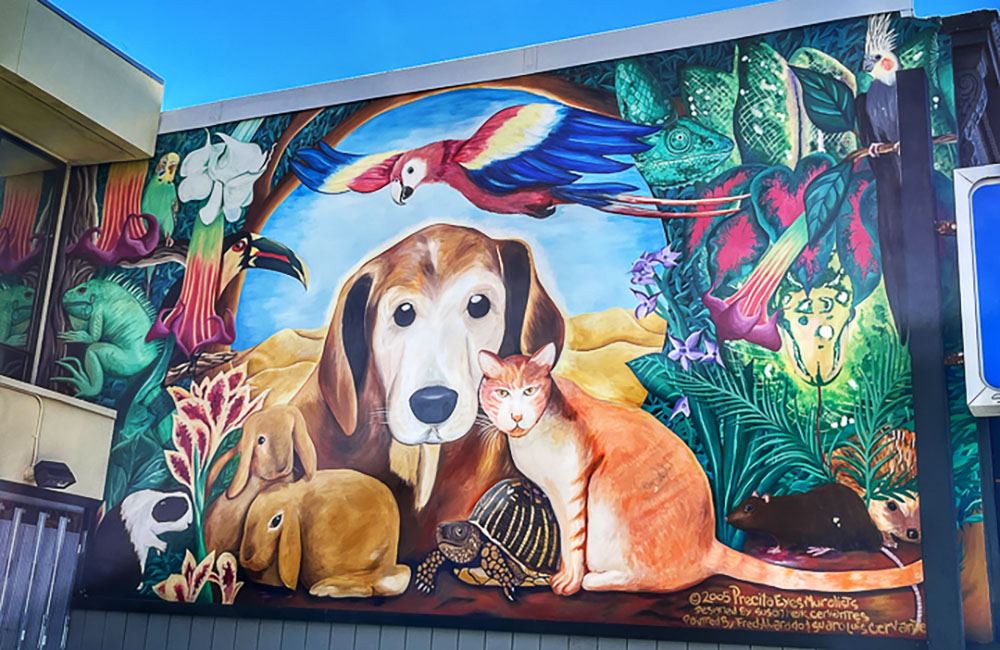 Mission san francisco 1