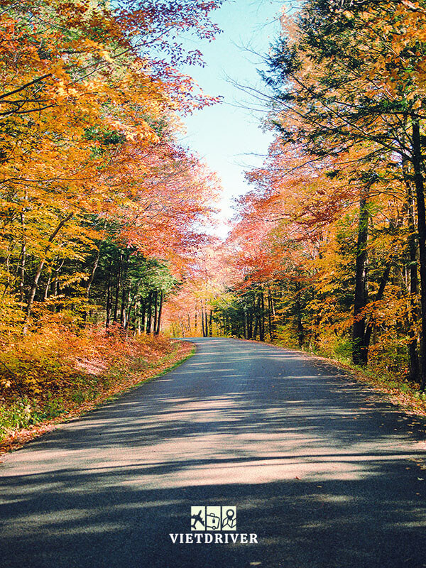 phong cảnh đẹp nước mỹ