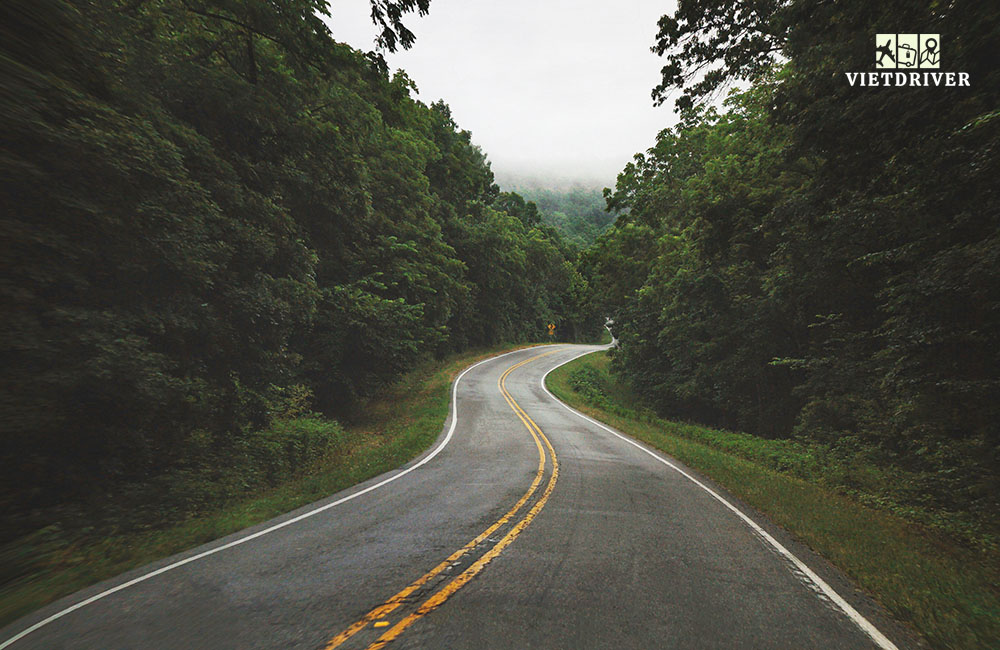 rừng Quốc Gia Ozark