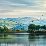 San jose có gì chơi