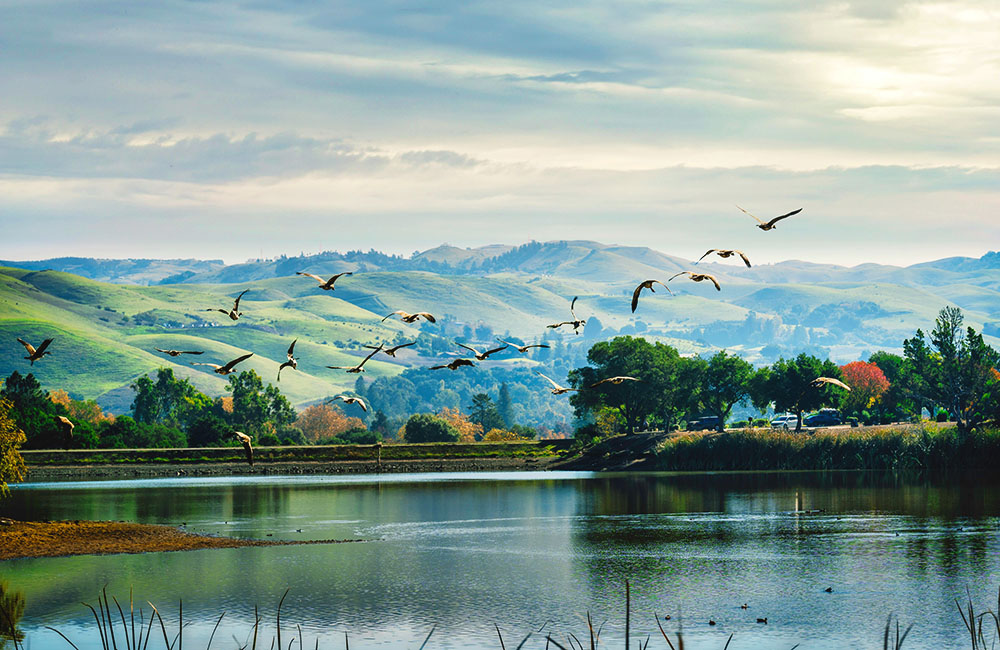 San jose có gì chơi