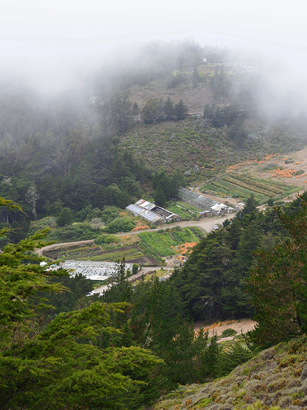 thành phố San Francisco