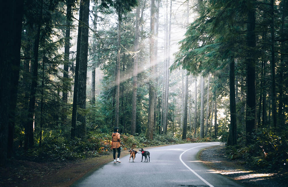 thành phố tacoma, bờ tây nước mỹ