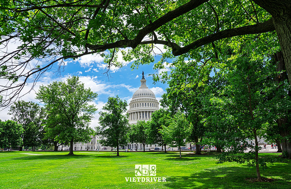 Thành phố Washington D.C.
