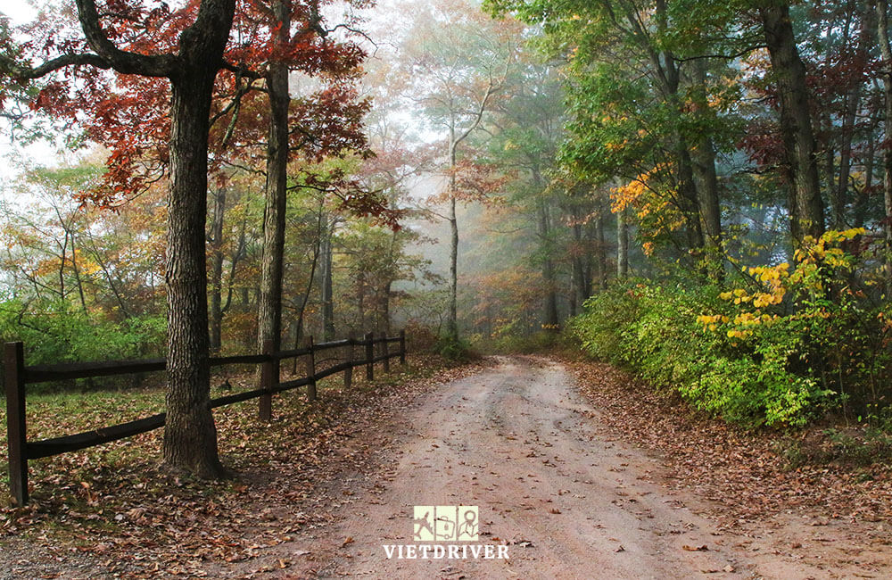 Tiểu bang Maryland