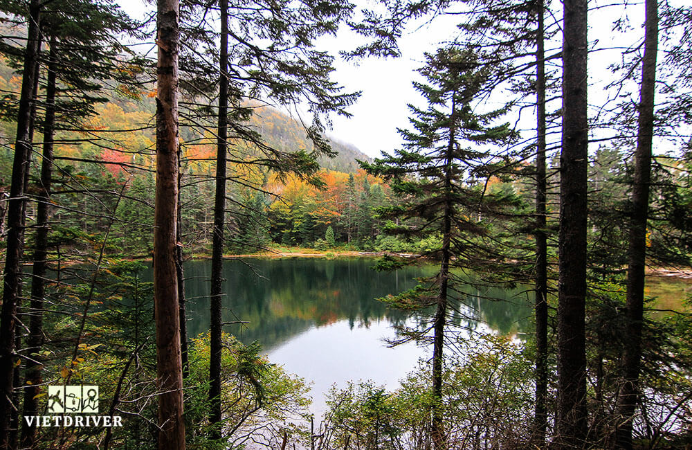 bờ đông nước mỹ gồm những bang nào