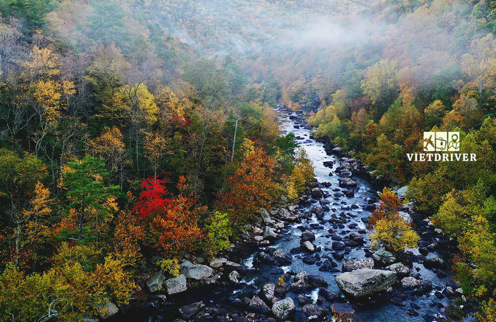 bờ đông nước mỹ gồm những tiểu bang nào