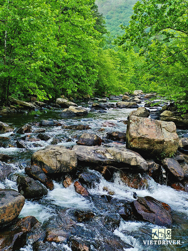 bờ đông nước mỹ gồm những tiểu bang nào