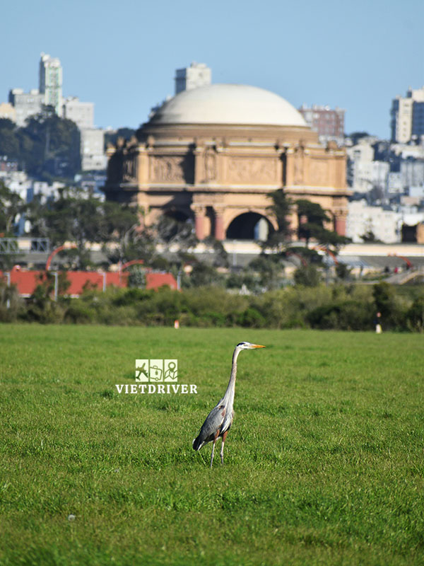 Kinh nghiem du lich san francisco 7