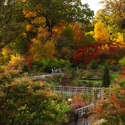 Vườn Bách Thảo Brooklyn