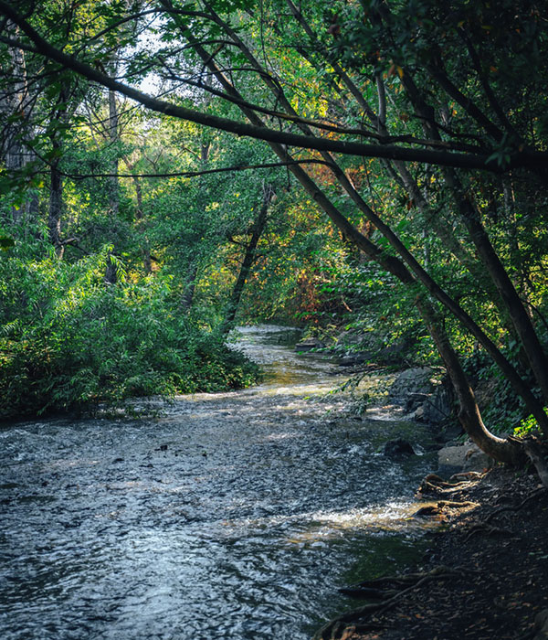 đường mòn Los Gatos Creek