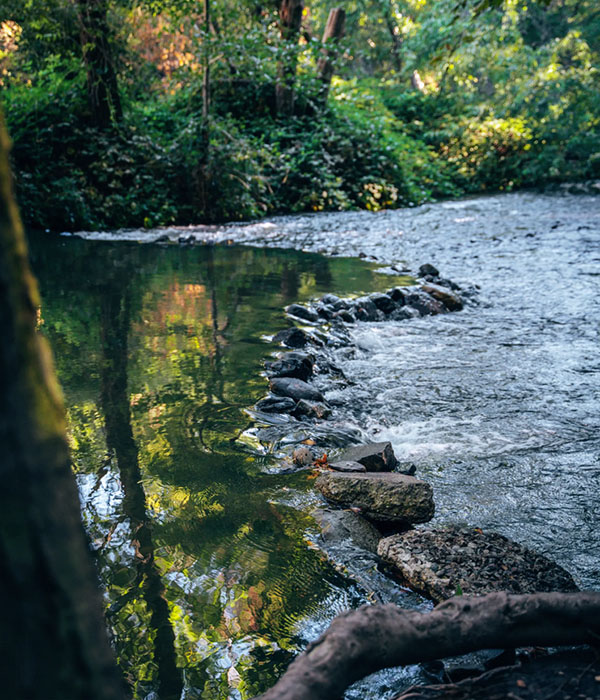 đường mòn Los Gatos Creek