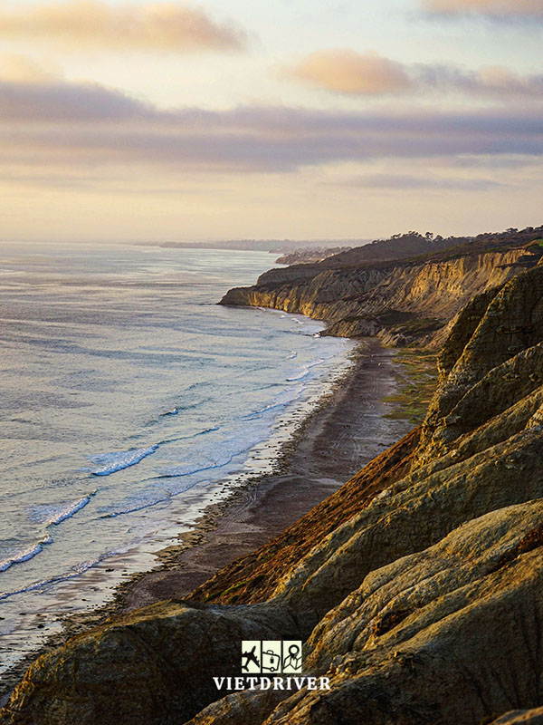 Khu bảo tồn Thiên nhiên Torrey Pines