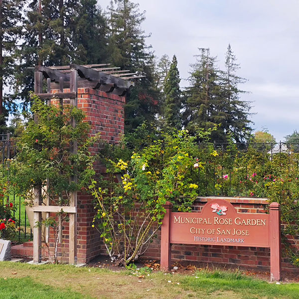 Vườn Hồng Thành Phố