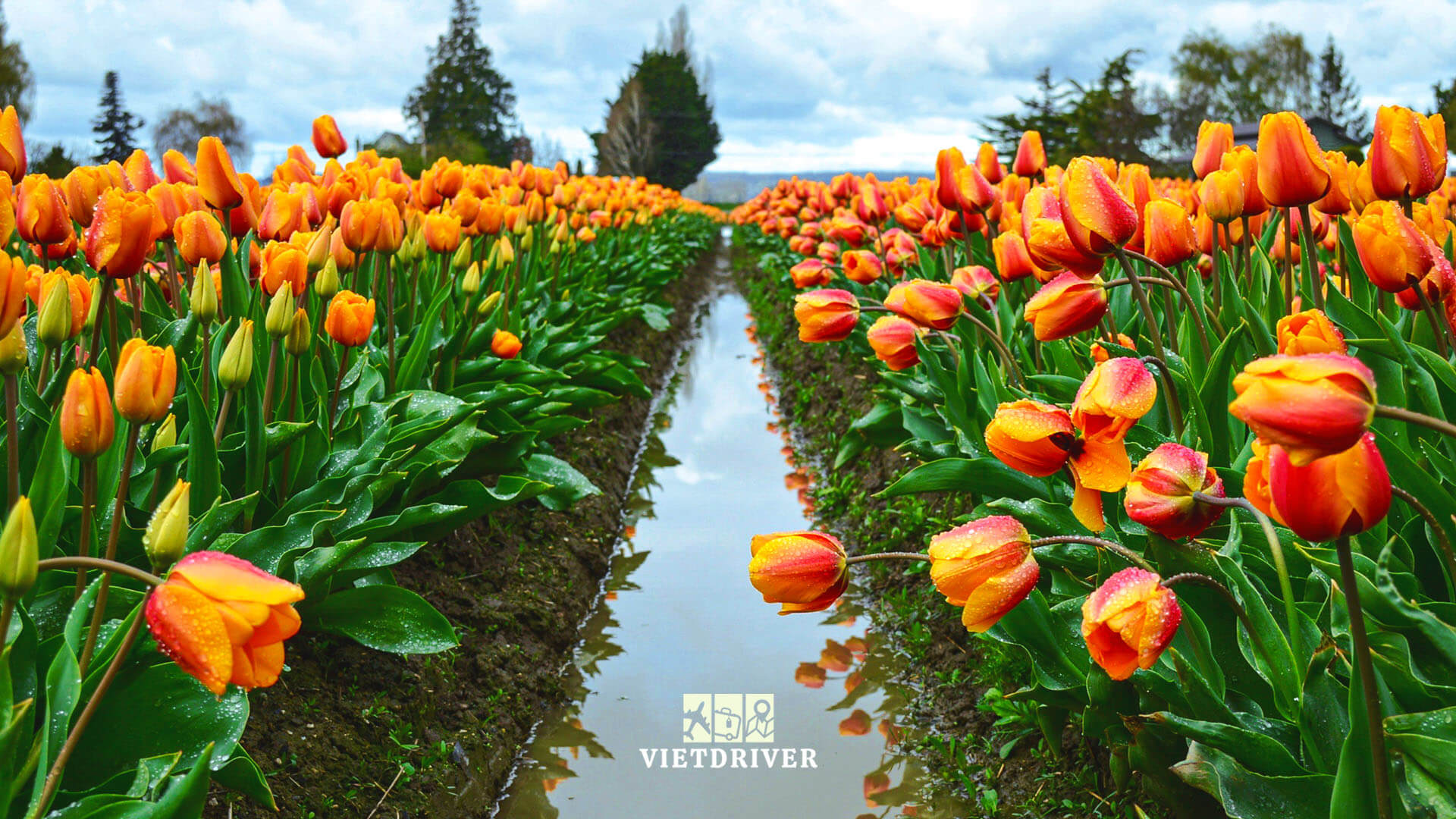 du lịch bờ đông nước mỹ, du lich bo dong nuoc my