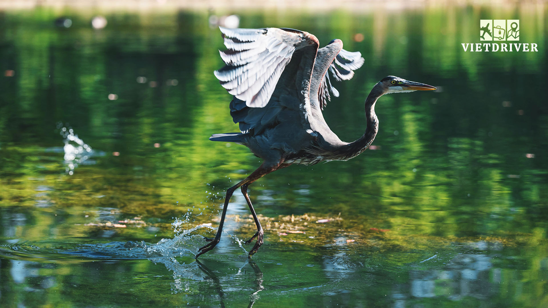 du lịch florida, du lich florida