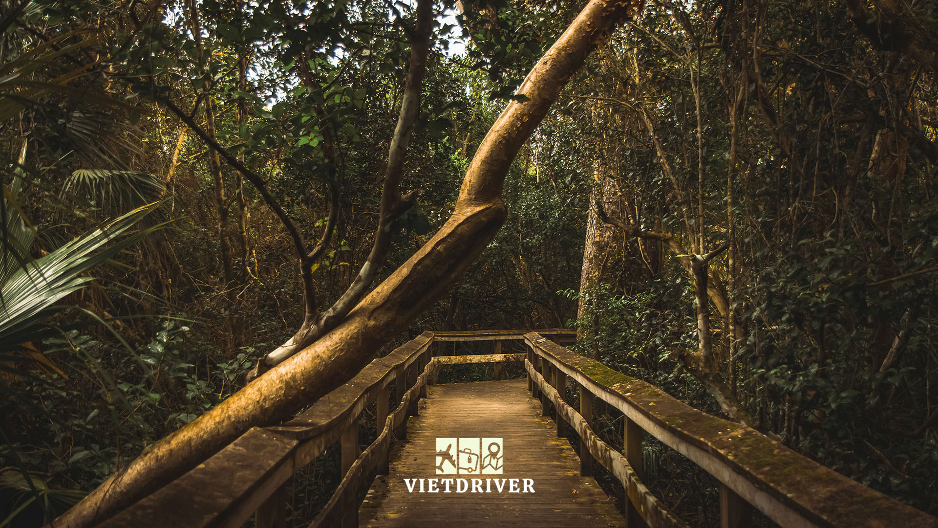 du lịch florida, du lich florida