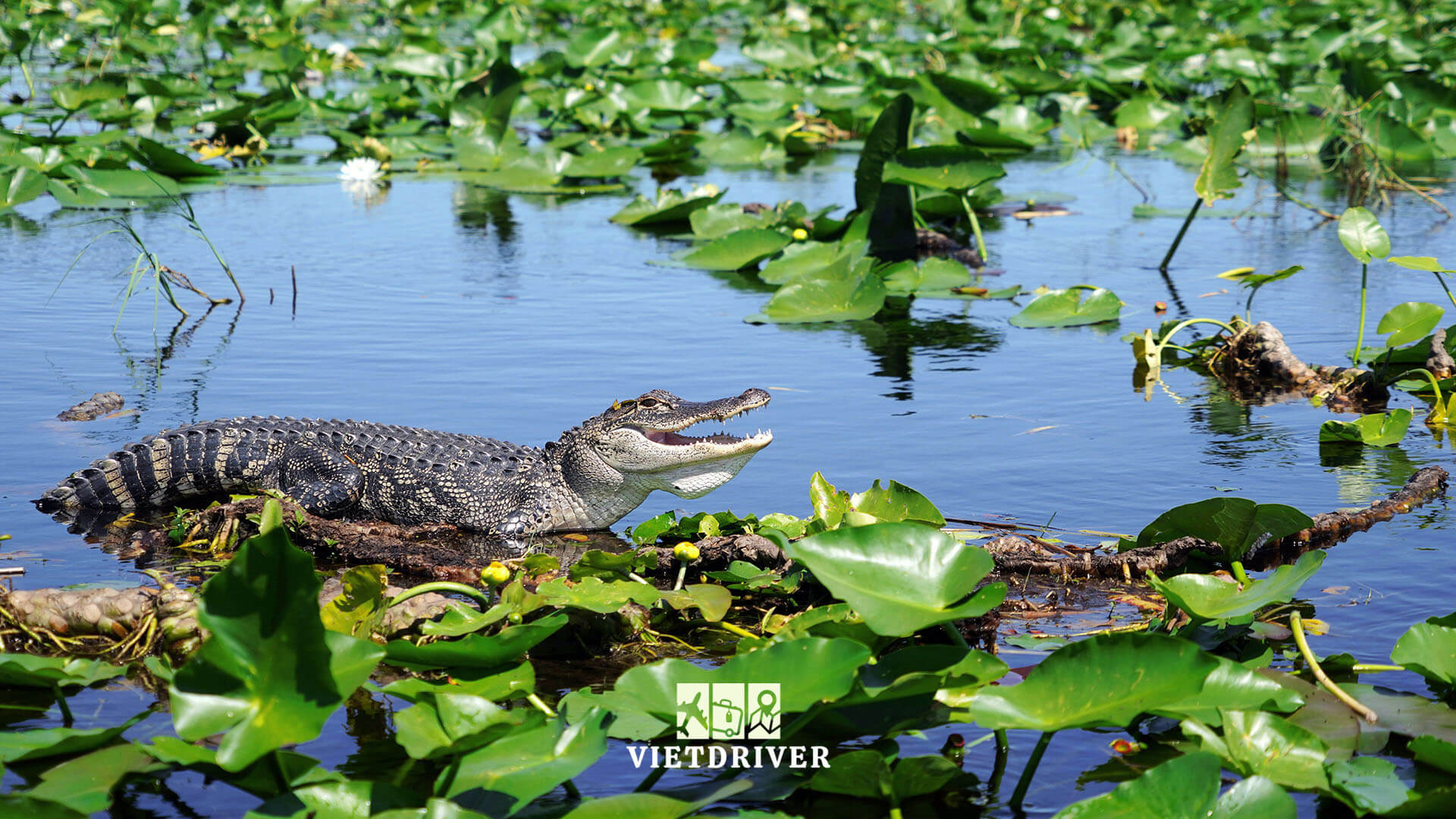 du lich florida, du lịch florida
