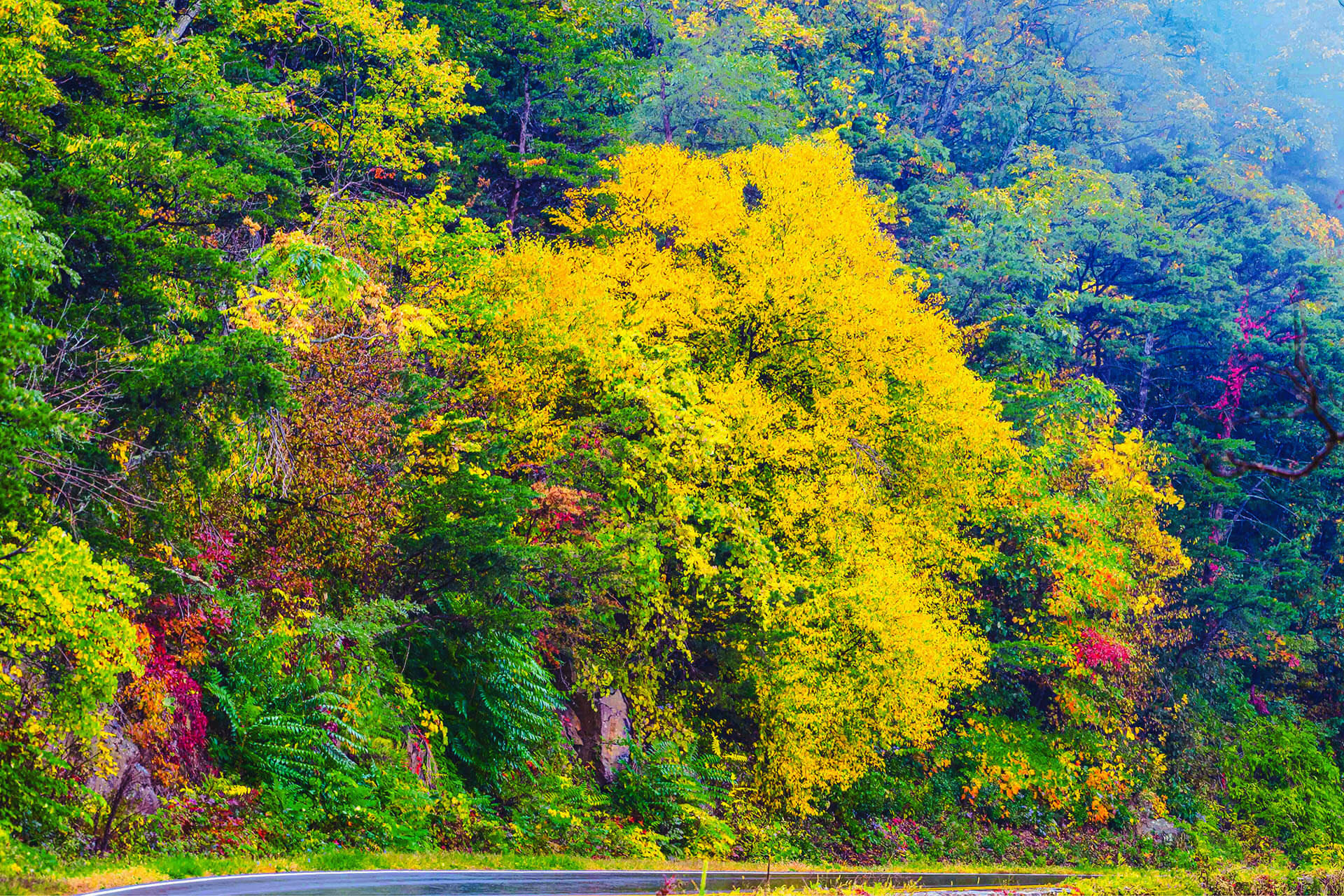 tour du lịch bờ đông mỹ, du lịch mỹ bờ đông